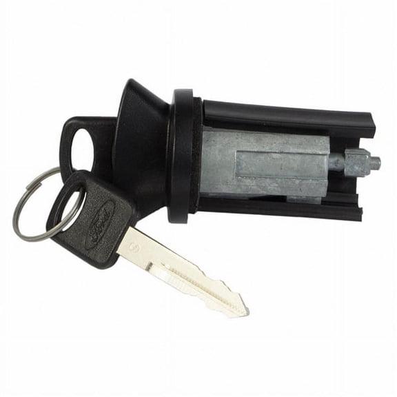 LOCK CYLINDER WITH (P)
