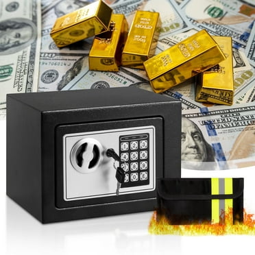 LOCKSWORTH 0.2 Cubic Feet Electronic Digital Safe Box, Steel Money Safe Box for Home with Fireproof Money Bag for Cash Safe Hidden