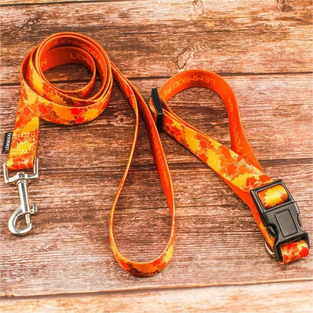 LOEFME Dog Collar and Leash Set Adjustable Dog Collars for Small Girl