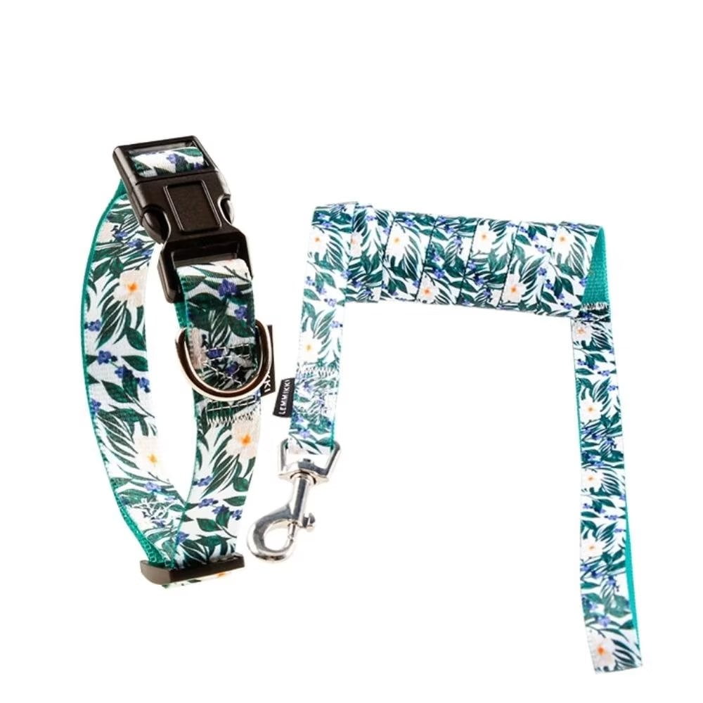 LOEFME Dog Collar and Leash Set Adjustable Dog Collars for Small Girl or Boy Dogs Puppy Collars