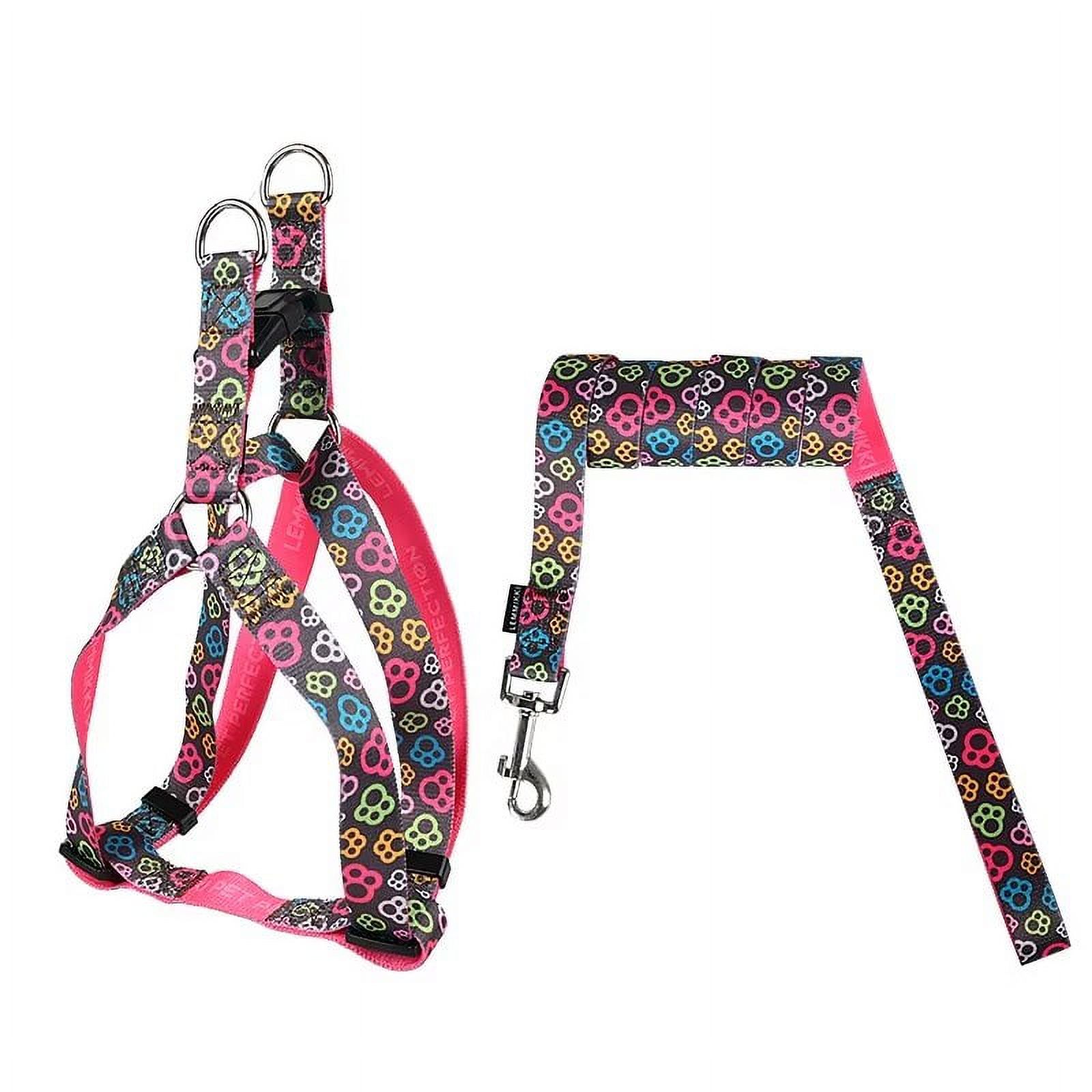 LOEFME Dog Harness Leash Set for Small Dogs Small Pet Harness No Pull
