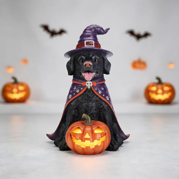 LOHASLED 19.7" Halloween Black Labrador Retriever Dog Statue with Witch Hat and Cape, LED Light Up Jack-O-Lantern Pumpkin, Resin Outdoor/Indoor Porch Decor