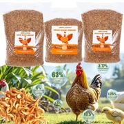 LOHOMS Dried River Shrimp Treat Premium Chicken Birds Fish Reptiles Food, 22 lb Bag