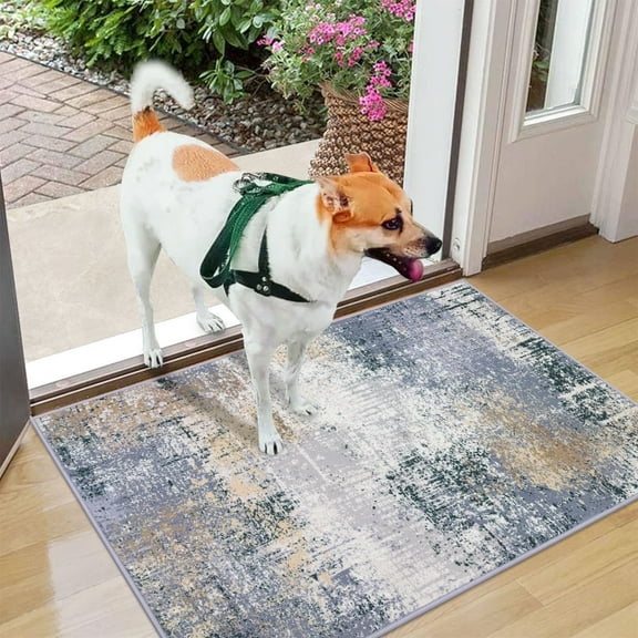 LOKHOM 2'x3' Abstract Doormat Machine Washable Rugs Non Slip Indoor Floor Carpet for Bedroom Dinning Room Office, Gray/Beige