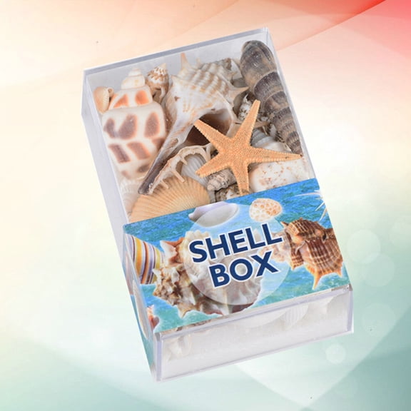 LOLIPPYY 1 Box of Ornamental Shells Assorted Color DIY Craft for Dining Table Home Decoration