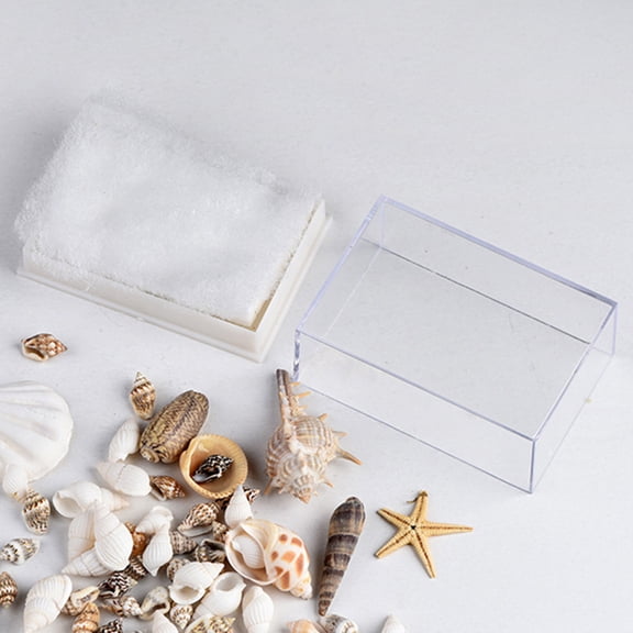 LOLIPPYY 1 Box of Seashell Ornament Assorted Decorations for Beach Party Decor