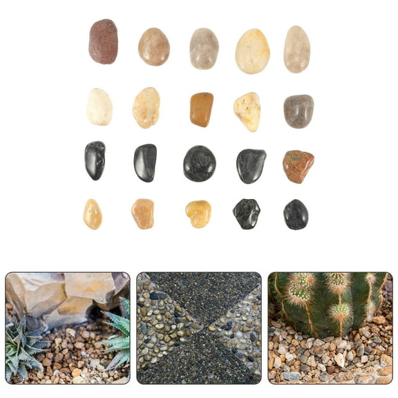 LOLIPPYY 1 Pack Garden Stones Decorative Assorted Color Polished Fish Tank Decoration