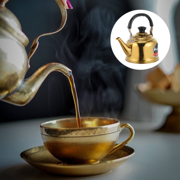 LOLIPPYY 1 Pc Stainless Steel Tea Kettle Multi-functional for Home Use Adults