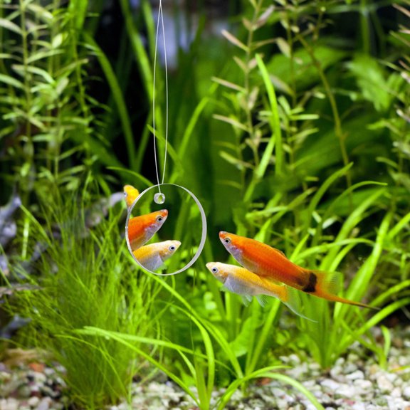 LOLIPPYY 1 Set Betta Fish Mirror for Tank with Double-sided Design Floating Mirror