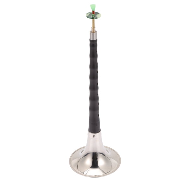 LOLIPPYY Rosewood Chinese Musical Instrument Set with Assorted Colors for Practice and Performance Sessions