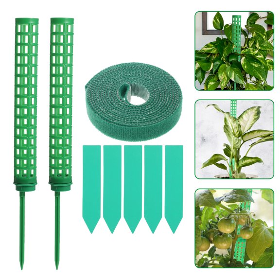 LOLIPPYY 1 Set Tree Support Stakes Green PVC Support For Vine Plants Indoor Cultivation
