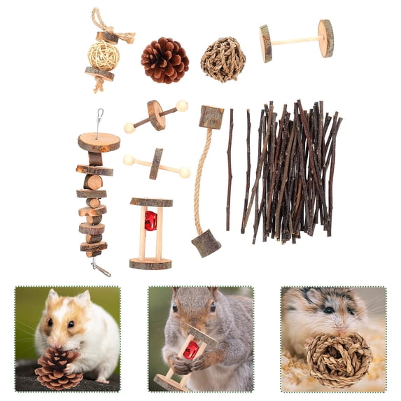 LOLIPPYY 1 Set of Hamster Chew Toys Pet Chew Toy Biting Resistant for ...