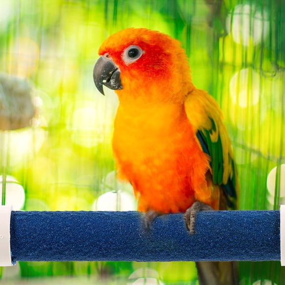 LOLIPPYY 1 Set of U Shape Parrot Perch Blue PVC Foot Exercise for Bird Playtime