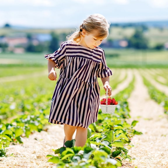 LOLIPPYY 10 Pcs Harvest Basket White Rattan for Fruit and Vegetable Picking