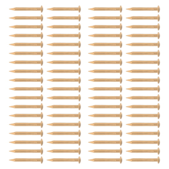 LOLIPPYY 100Pcs Golden Copper Furniture Nails Dome Head Decorative Tacks for Upholstery Use