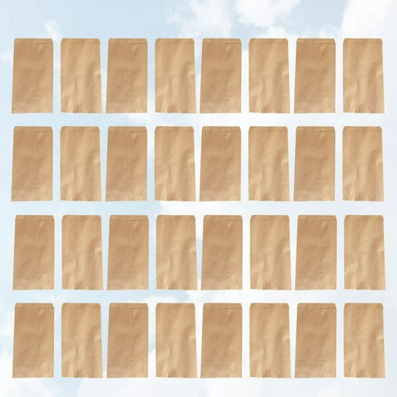 LOLIPPYY 100Pcs Paper Pouch for Travel and Item Packaging with Paper