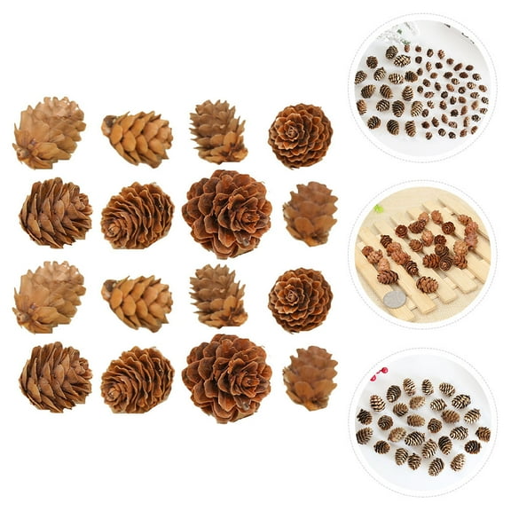 LOLIPPYY Pine Cones for Decorating Wood for Office Decor 100Pcs