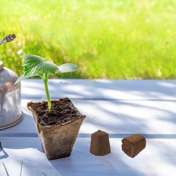 LOLIPPYY 10Pcs Brown Compressed Soil Blocks Plant Nutrient Cubes for Indoor Soilless Cultivation
