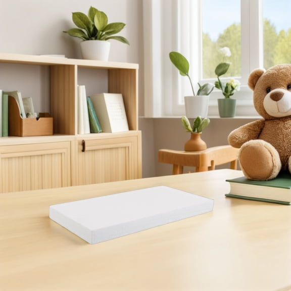 LOLIPPYY 10Pcs Craft Foam Blocks White Polystyrene Material Ideal for DIY Sculpting and Floral Arrangements