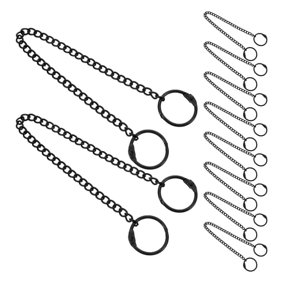 LOLIPPYY 10Pcs Heavy Duty Stainless Steel Hanging Chain with Snap Clips for Art Display and Picture Frames