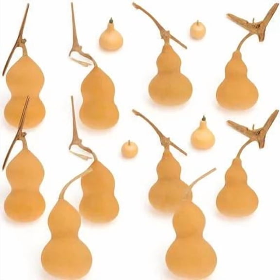 LOLIPPYY 10Pcs Mini Natural Khaki Gourds 4-6cm Home and Event Decoration
