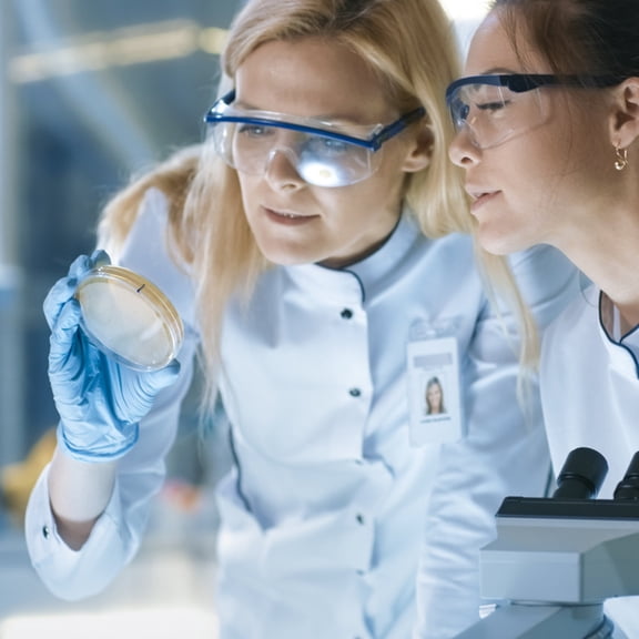 LOLIPPYY 10Pcs Nutrient Agar Plate Multi Agar Dishes for Educators