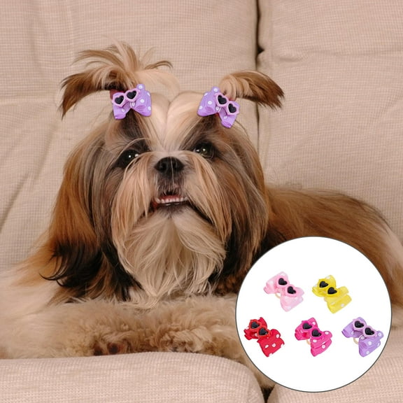 LOLIPPYY 10Set Dog Hair Accessories for Pets in Pink with Glasses Style Grooming Back to School
