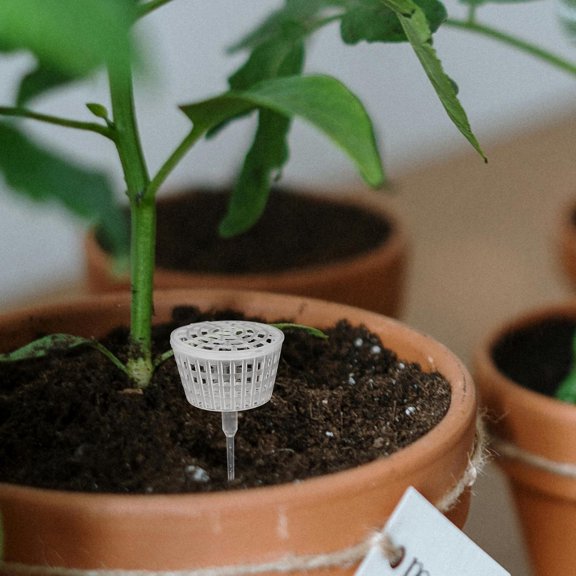 LOLIPPYY 10pcs Fertilizer Box Transparent Plastic Adaptable Design Gardening Holder