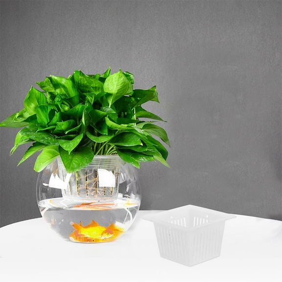 LOLIPPYY 12Pcs Black Planter White Hydroponic Cup Made Of PE For Gardeners In Indoor Gardening