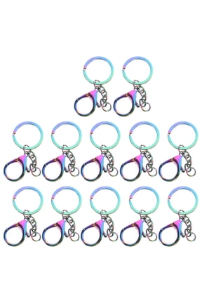 12-Pack Sky Alloy Key Chain Clips Key Holders for Crafts and Everyday Use