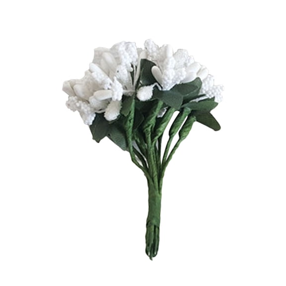 LOLIPPYY 12Pcs Mini Pip Berry Picks White for DIY and Photograph Backgrounds