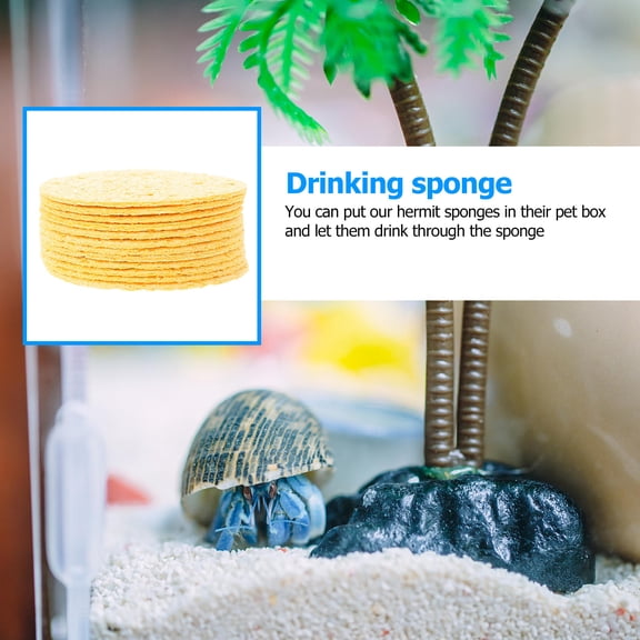 LOLIPPYY 12Pcs Unbleached Yellow Hermit Crab Sponge for Water Absorbent and Crab Habitat Use