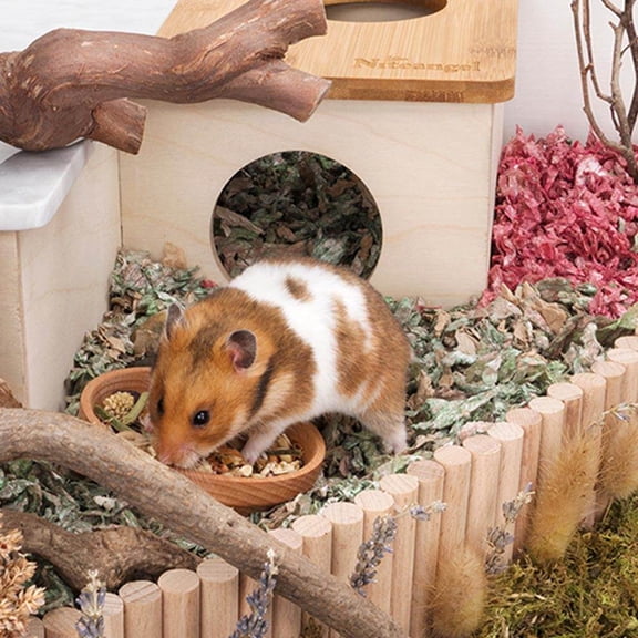 LOLIPPYY 1Pack Round Pet Food Bowl Beech Small Animal Dish for Pet Care