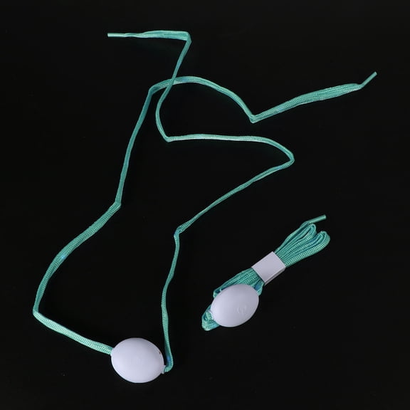 LOLIPPYY 1Pair Blue LED Shoelaces Light Up Flashing Shoestrings for Sneakers Casual Boots and Skates