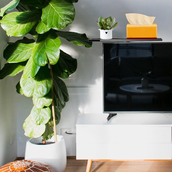 LOLIPPYY 1Pc Black TV Shelf Multifunction Storage Rack Strong Bearing Capacity Stand