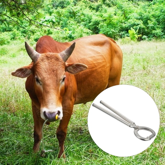 LOLIPPYY 1Pc Durable Cattle Nose Ring Pliers with Smooth Surface for Safe Husbandry Use