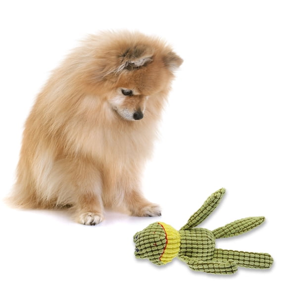 LOLIPPYY 1Pc Durable Pet Plaything with Sound for Chewing and Teeth Grinding in Assorted Colors