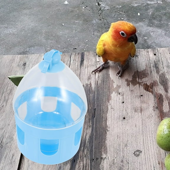 LOLIPPYY 1Pc Poultry Drinker Blue PVC Water Dispensing Pet Birds Simple Design