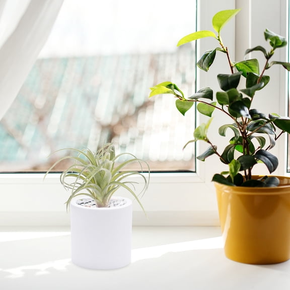 LOLIPPYY Artificial Bromeliad Plant Hanging Decor, Green Simulation Indoor Desk Home Office Decoration