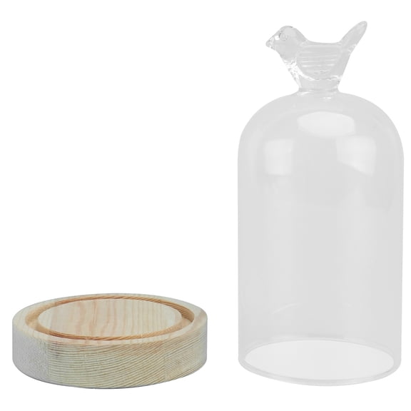 LOLIPPYY 1Pcs Glass Dome Cloche For Display Of Preserved Flower Decorative Item For Family