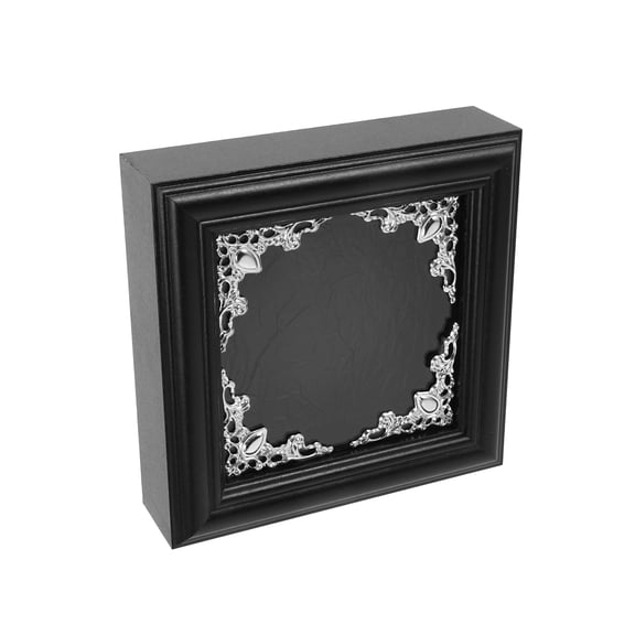 LOLIPPYY 1Set Black Wooden Shadow Box for Butterfly Specimen with Clear Display Case