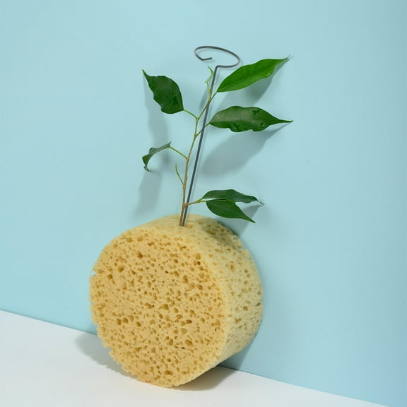 LOLIPPYY 1Set Flower Stand Wire with Green Iron Plant Support for Gardening Efficiency and Healthy Growth