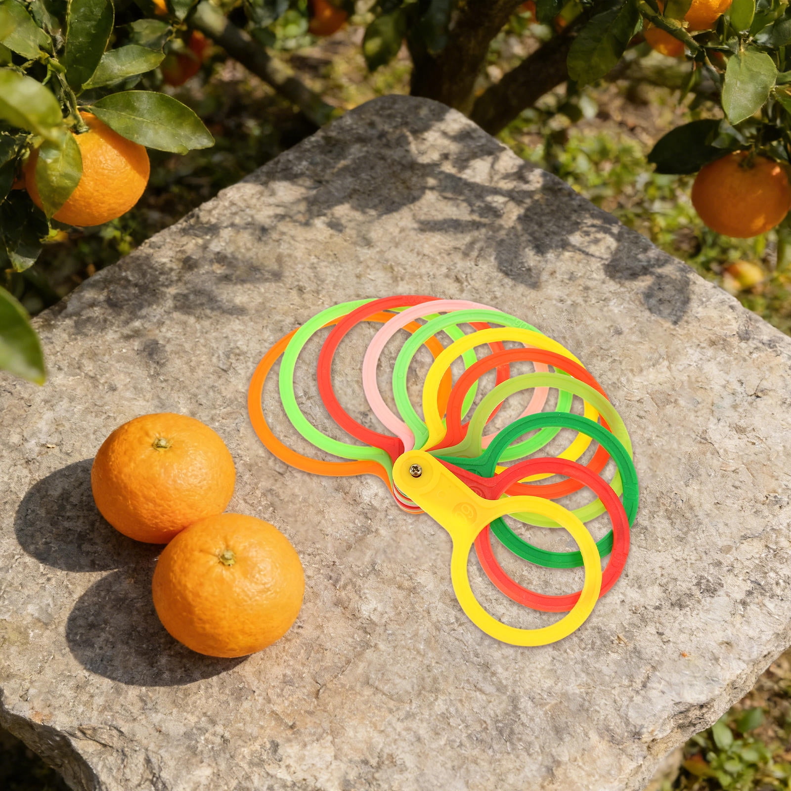 LOLIPPYY Fruit Diameter Measuring Gauge Set, Plastic Tool for Accurate ...