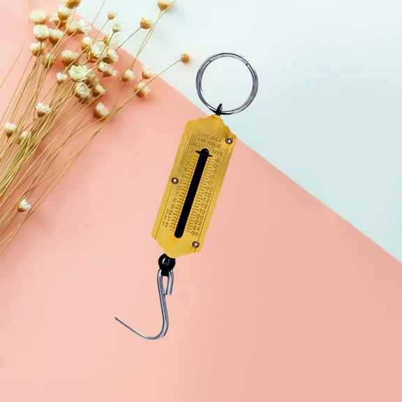 LOLIPPYY Mechanical Hanging Scale Set - Digital Steel Weight Scale for Outdoor Market Use, 1 Set