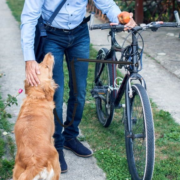 LOLIPPYY Outdoor Dog Leash Set for Bike Riding with Comfortable Strap and , Sturdy Construction for Pets