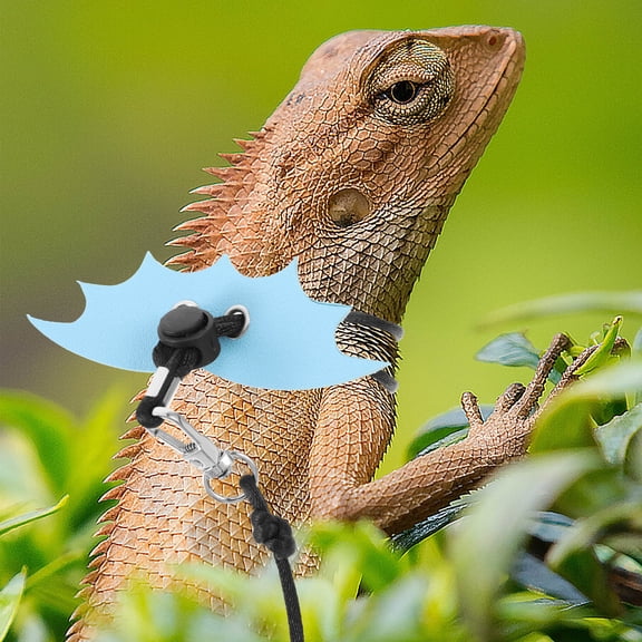 LOLIPPYY 1Set Sky Blue Bearded Dragon Leash Adjustable Lizard Harness for Outdoor Training Use