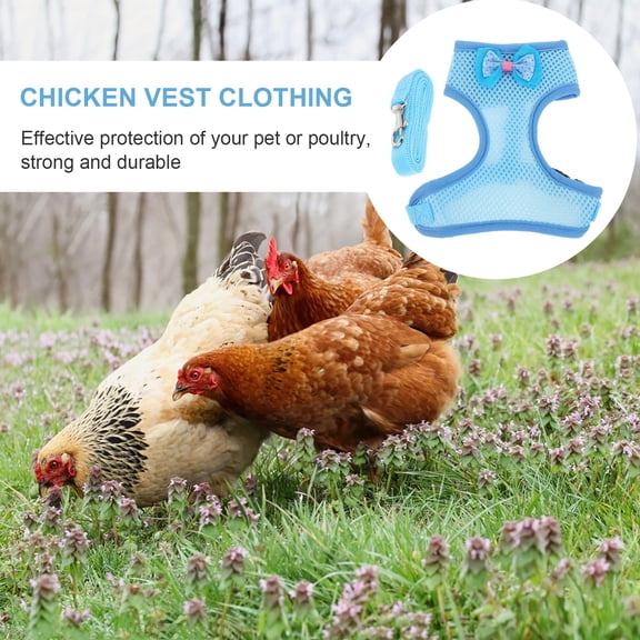 LOLIPPYY 1Set Sky Blue Pet Rooster Harness with Durable Leash Chain for Comfortable Outdoor Use