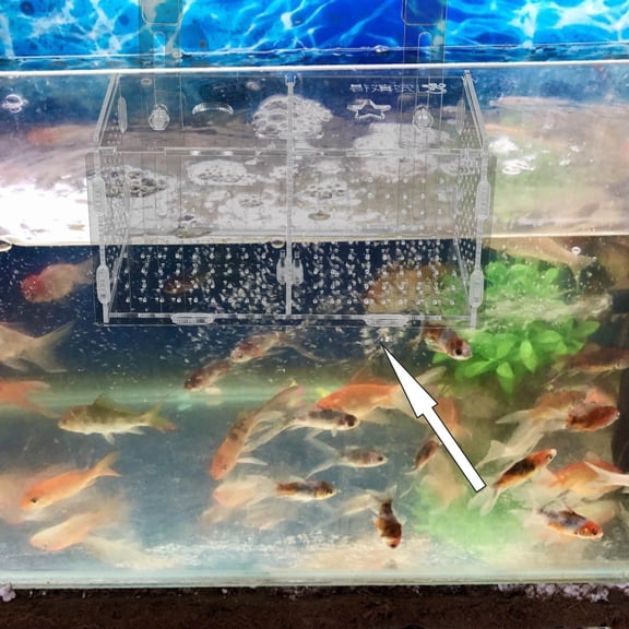 LOLIPPYY Fish Tank Hatching Box Set with Transparent Acrylic and Hook, Stable Aquarium Hatchery Container for Fish