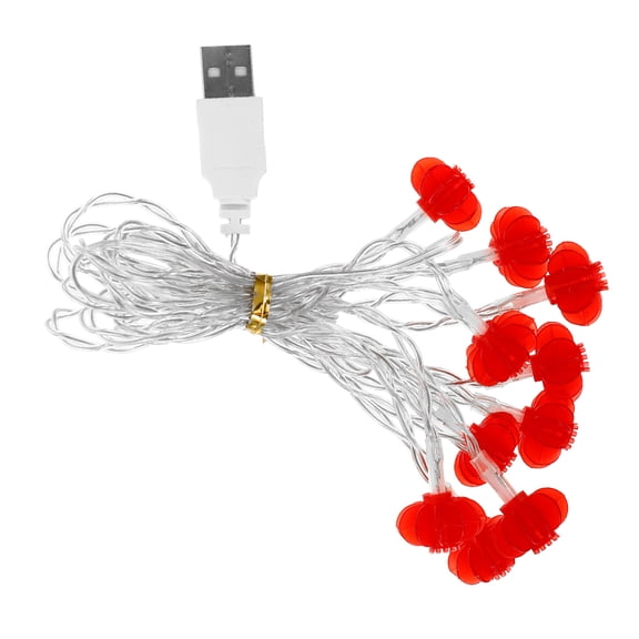 LOLIPPYY 1pc 6cm LED Lantern String Light New Year Spring Festival Light Hanging Lamp (2M 10 LEDs USB Plug)