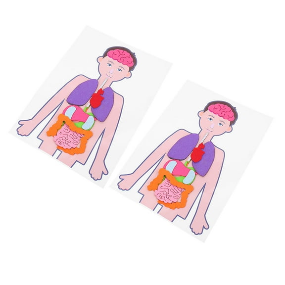 LOLIPPYY Mini Human Organs Craft Teaching Aids, 2 Sets Cloth Models for Multi-colored Cognitive Development